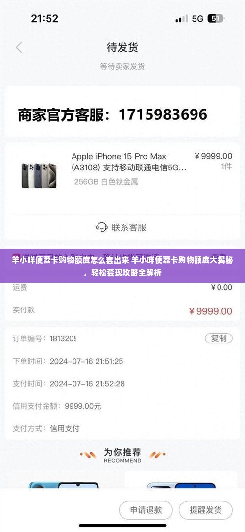 羊小咩便荔卡购物额度怎么套出来 羊小咩便荔卡购物额度大揭秘，轻松套现攻略全解析
