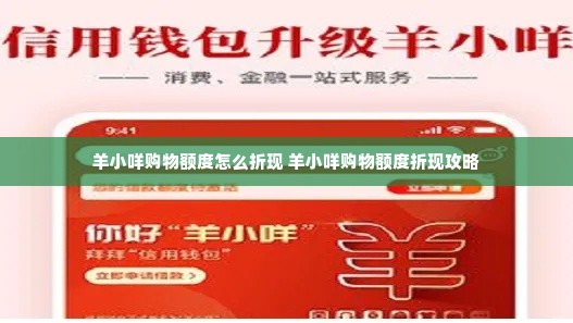 羊小咩购物额度怎么折现 羊小咩购物额度折现攻略