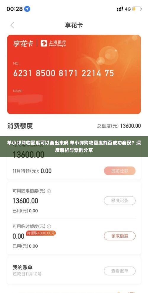 羊小咩购物额度可以套出来吗 羊小咩购物额度能否成功套现？深度解析与案例分享