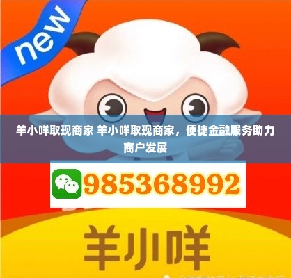 羊小咩取现商家 羊小咩取现商家，便捷金融服务助力商户发展