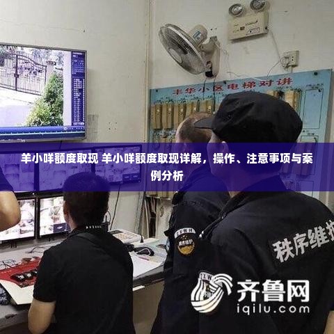 羊小咩额度取现 羊小咩额度取现详解，操作、注意事项与案例分析