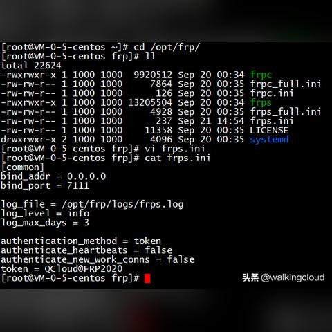 .frps c frps.ini 深度解析命令.frps c frps.ini，你的远程桌面连接利器