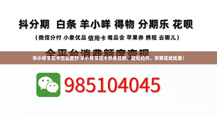 羊小咩享花卡怎么套秒 羊小咩享花卡秒杀攻略，轻松抢购，享受花式优惠！