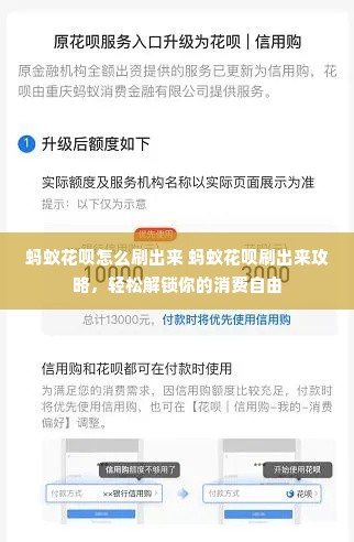 蚂蚁花呗怎么刷出来 蚂蚁花呗刷出来攻略，轻松解锁你的消费自由