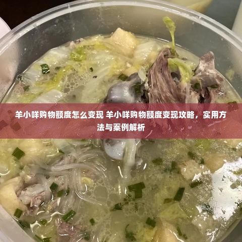 羊小咩购物额度怎么变现 羊小咩购物额度变现攻略，实用方法与案例解析