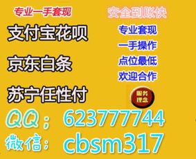 蚂蚁花呗怎么取现 蚂蚁花呗取现全攻略，轻松操作，资金灵活周转