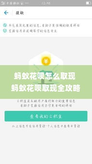 蚂蚁花呗怎么取现 蚂蚁花呗取现全攻略，轻松操作，资金灵活周转
