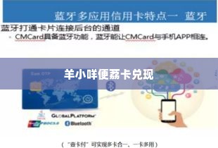 创新智能科技羊小咩便荔卡兑现秒到回款指南 创新智能科技羊小咩便荔卡兑现秒到回款指南