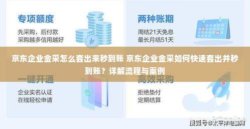 京东企业金采怎么套出来秒到账 京东企业金采如何快速套出并秒到账？详解流程与案例