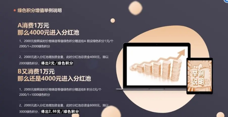 白条额度兑现商家 白条额度兑现商家的探索之旅，机遇与挑战并存