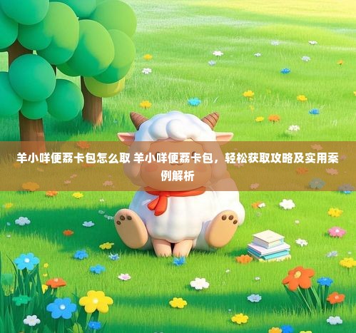 羊小咩便荔卡包怎么取 羊小咩便荔卡包，轻松获取攻略及实用案例解析