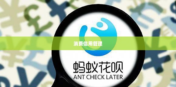 花呗额度怎么使用找商家兑现 如何有效使用花呗额度，轻松兑现购物梦想