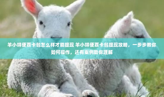 羊小咩便荔卡包怎么样才能提现 羊小咩便荔卡包提现攻略，一步步教你如何操作，还有案例助你理解