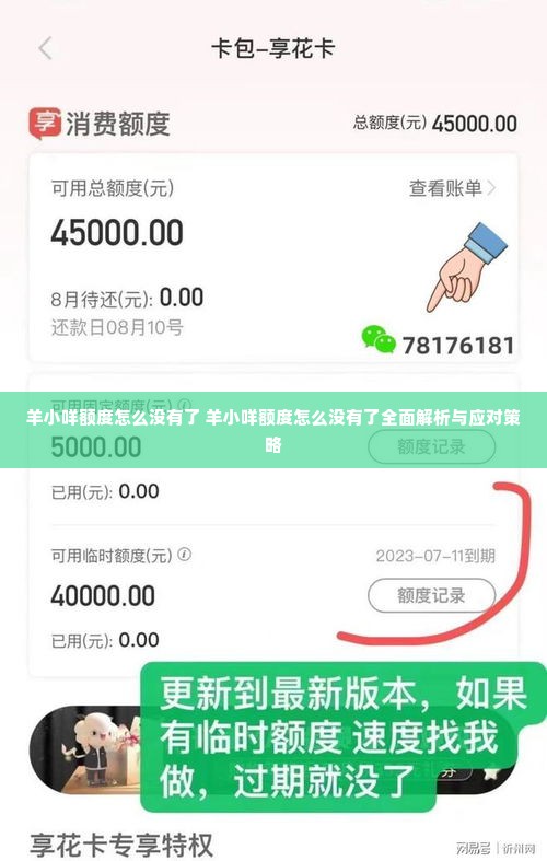 羊小咩额度怎么没有了 羊小咩额度怎么没有了全面解析与应对策略