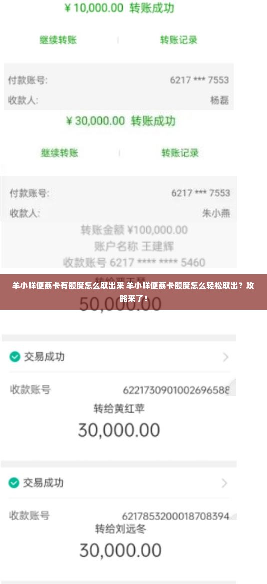 羊小咩便荔卡有额度怎么取出来 羊小咩便荔卡额度怎么轻松取出？攻略来了！