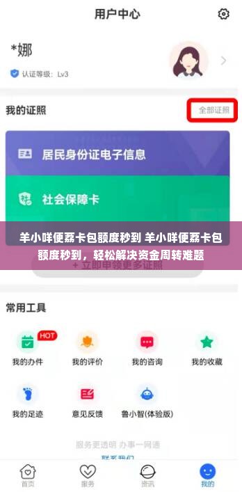 羊小咩便荔卡包额度秒到 羊小咩便荔卡包额度秒到，轻松解决资金周转难题