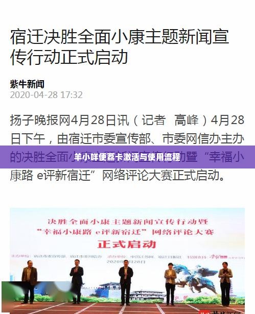 羊小咩便荔卡兑现 羊小咩便荔卡的奇妙旅程——从激活到使用，一站式解决您的支付难题
