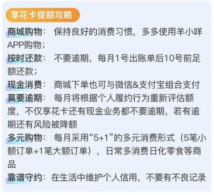羊小咩购物额度怎么折现 羊小咩购物额度折现攻略，实用方法与案例解析