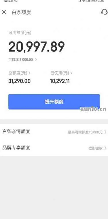 白条额度兑现 白条额度兑现解析，理解与应用