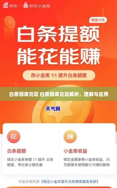 白条额度兑现 白条额度兑现解析，理解与应用