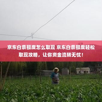 京东白条额度怎么取现 京东白条额度轻松取现攻略，让你资金流转无忧！