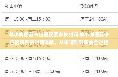 羊小咩便荔卡包提现要多长时间 羊小咩便荔卡包提现所需时间详解，从申请到到账的全过程
