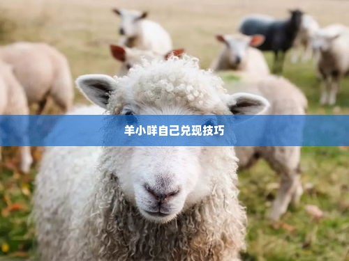 羊小咩最新自己兑现方法 羊小咩最新自己兑现方法