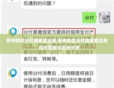 苏州微信分付商家套出来 苏州微信分付商家套出来，操作指南与案例分析