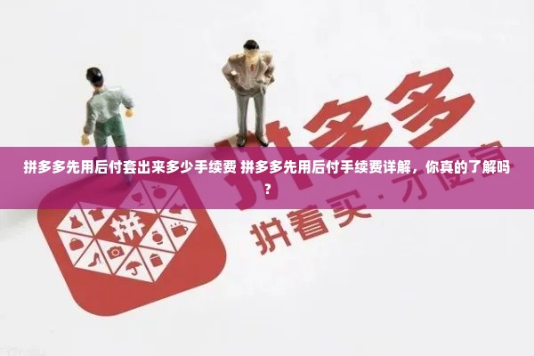 拼多多先用后付套出来多少手续费 拼多多先用后付手续费详解，你真的了解吗？
