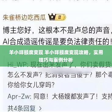 羊小咩额度变现 羊小咩额度变现攻略，实用技巧与案例分析
