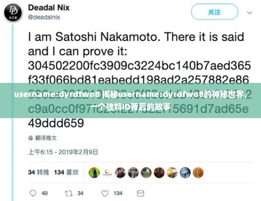 username:dyrdfwo8 揭秘username:dyrdfwo8的神秘世界，一个独特ID背后的故事